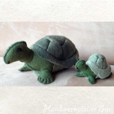 Schildpad en jong